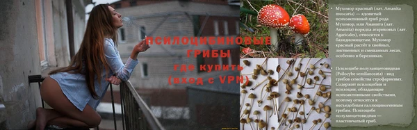 PSILOCYBIN Нязепетровск