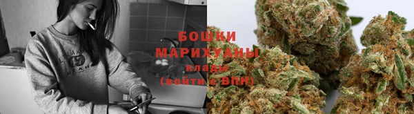 гидропоника Няндома