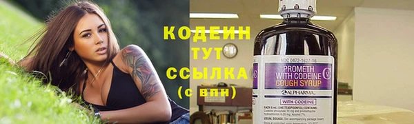 гидропоника Няндома