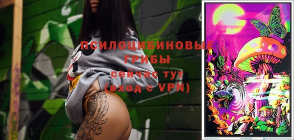 PSILOCYBIN Нязепетровск