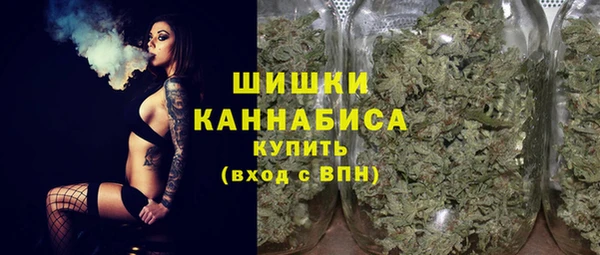 гидропоника Няндома