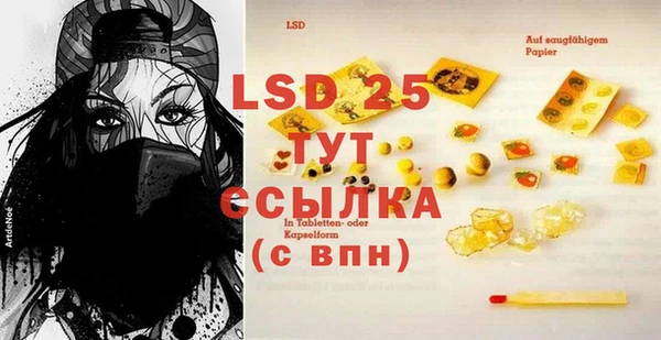 PSILOCYBIN Нязепетровск