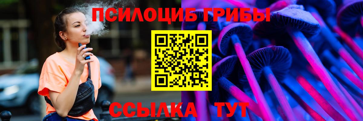 Россия  Галлюциногенные грибы Psilocybe  Вход с VPN 